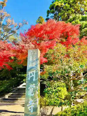 円覚寺(神奈川県)