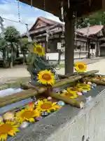 今市報徳二宮神社(栃木県)