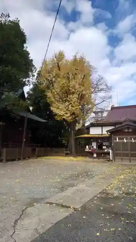 阿邪訶根神社(福島県)