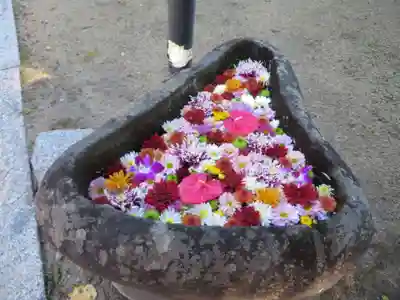 油井神社(福島県)