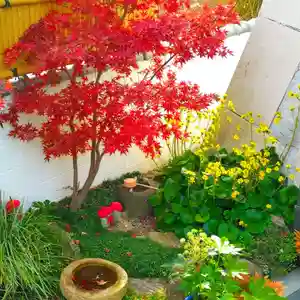 寿量山 速成寺(奈良県)(2023年12月08日(金) 14時25分26秒投稿)