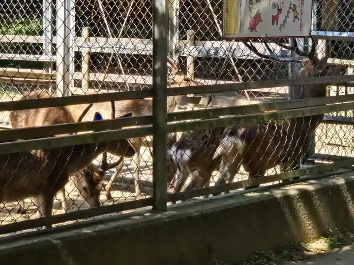 鹿島神宮(茨城県)