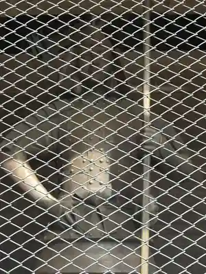 筑波山神社(茨城県)