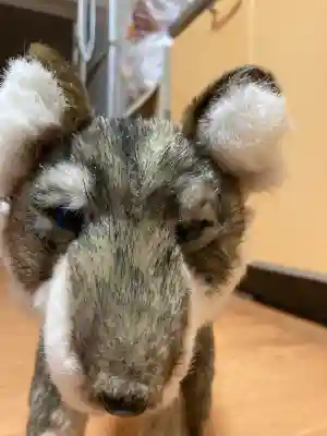 三峯神社(埼玉県)