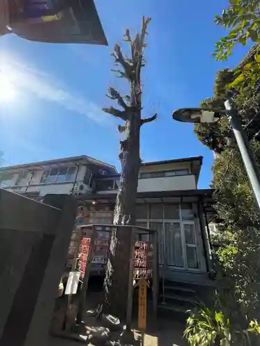 越谷香取神社(埼玉県)