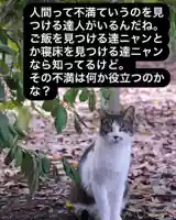 専念寺(大阪府)