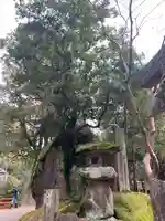 磐船神社のその他建物