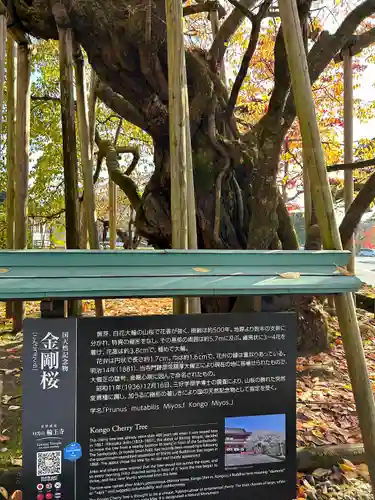 日光山輪王寺三仏堂の自然