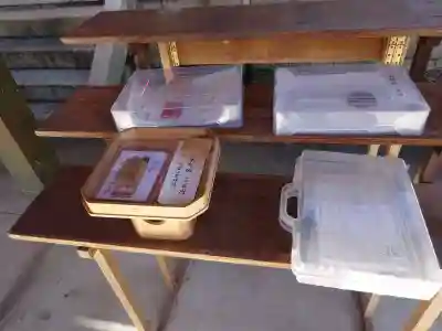 大嶋神社奥津嶋神社(滋賀県)