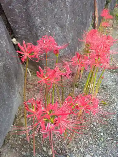 横浜　西方寺(神奈川県)