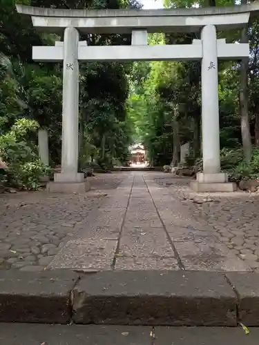 代々木八幡宮の鳥居