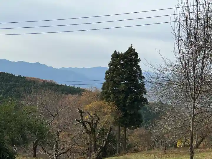 真福寺(埼玉県)
