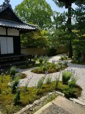 廬山寺（廬山天台講寺）(京都府)