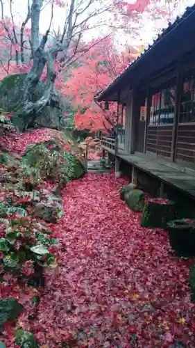 教林坊の庭園