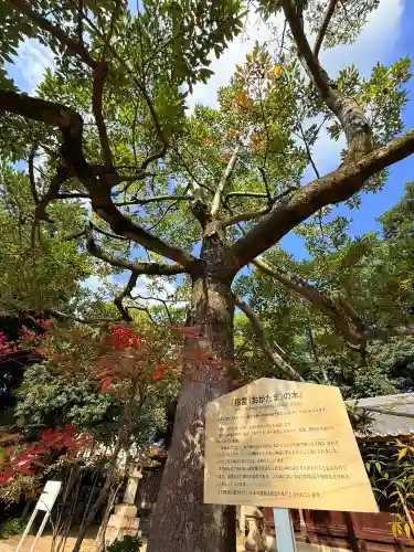 弓弦羽神社(兵庫県)
