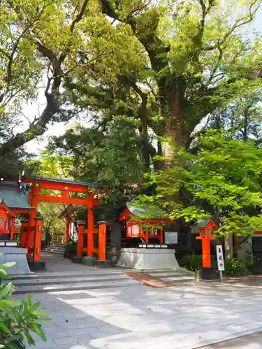 枚聞神社の鳥居