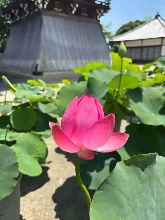 中山寺(兵庫県)