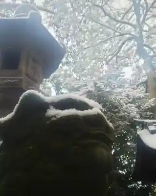 尾張大國霊神社(国府宮)の狛犬