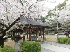 武田神社の手水