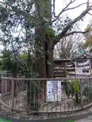 子之神社(神奈川県)