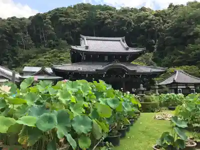 三室戸寺の本殿・本堂