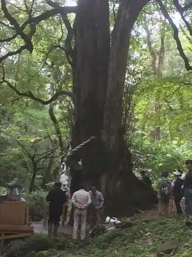 富岡神社(北海道)