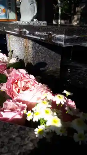 新琴似神社の手水舎