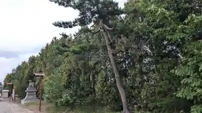 豊幌神社の自然