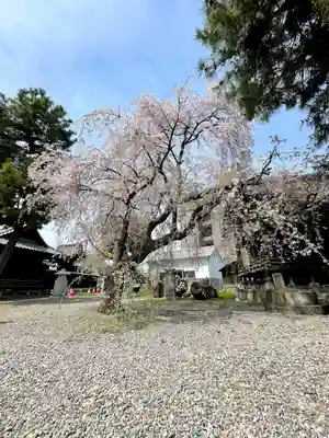 堅町神明宮(群馬県)