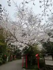 冠稲荷神社(群馬県)