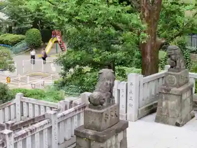 桐ヶ谷氷川神社の狛犬