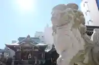 柏神社の狛犬