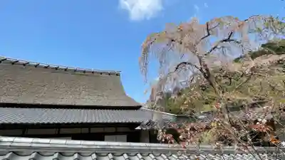 金剛寺のその他建物