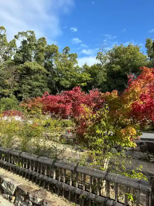 八事山 興正寺の庭園