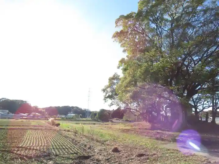 神明神社(千葉県)