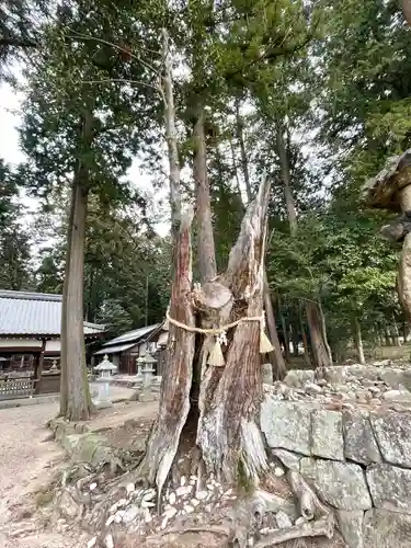 坂本神社(滋賀県)