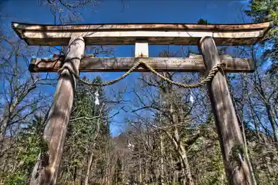 戸隠神社奥社の鳥居