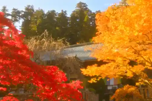 最乗寺（道了尊）(神奈川県)