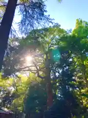 蛟蝄神社奥の宮(茨城県)