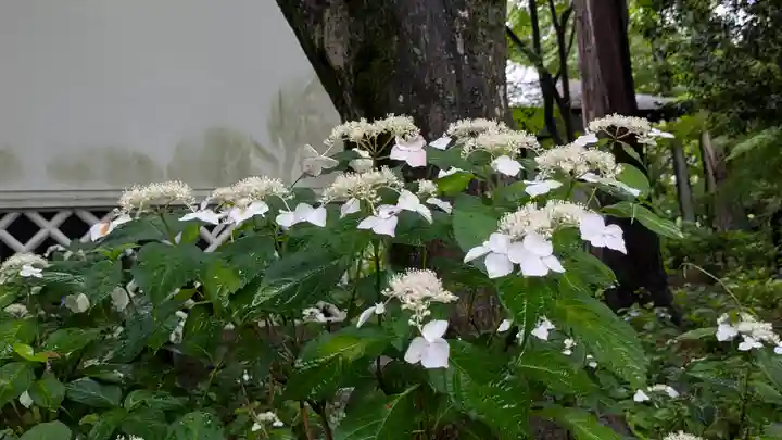 真正極楽寺(真如堂)(京都府)