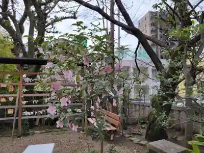 一宮神社(兵庫県)