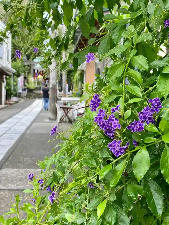 海南神社(神奈川県)