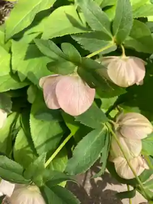 住吉神社の自然