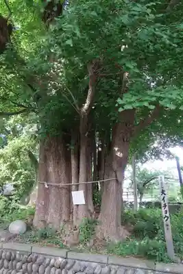 豊積神社(静岡県)