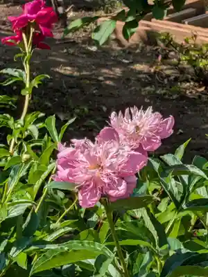 福蔵院(東京都)