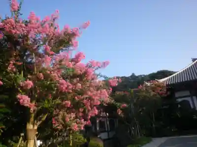 長谷寺のその他建物