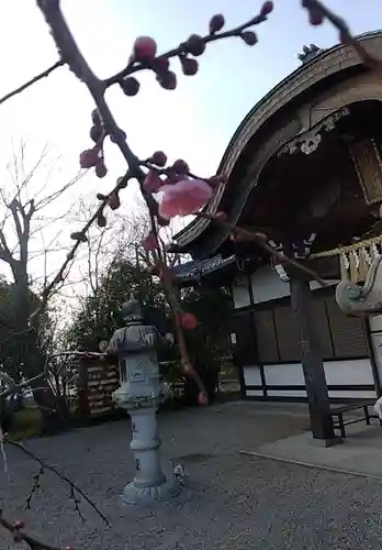 比佐豆知神社(三重県)