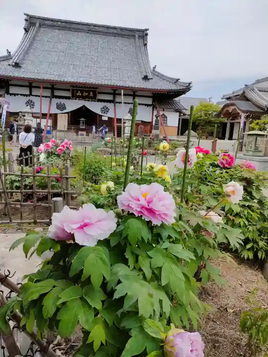 本覚寺の本殿・本堂