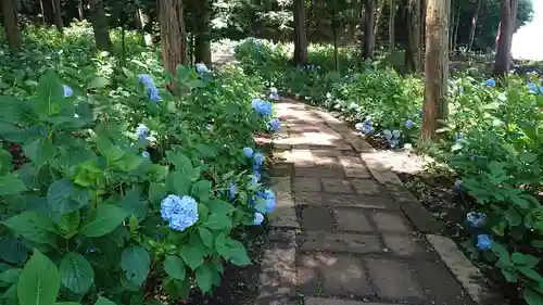 大宝八幡宮の庭園