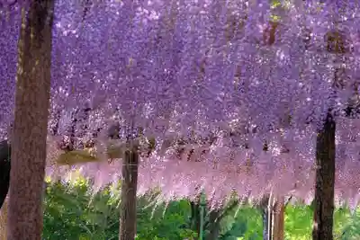 津島神社(愛知県)